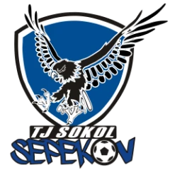 TJ Sokol Sepekov Logo týmu TJ Sokol Sepekov